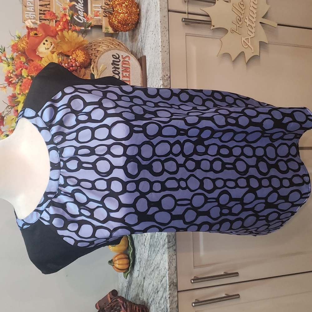 The Limited Blue/Black Sleeveless Blouse